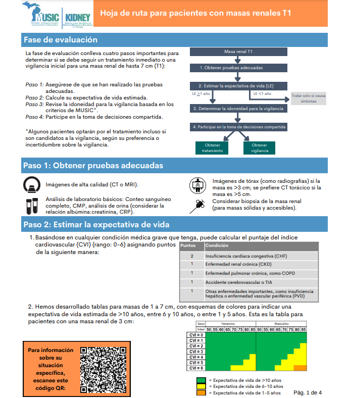 Roadmap for Patients with T1 Renal Masses- Translated Spanish